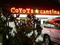 Coyote Cantina | Redondo Beach | South Bay Events