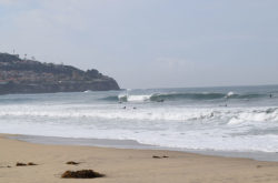 El Niño took a brief respite on Thursday and let Torrance Beach surfers enjoy some fun, shoulder high surf (Photo by South Bay Events).